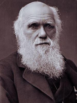 Frases de Charles Darwin