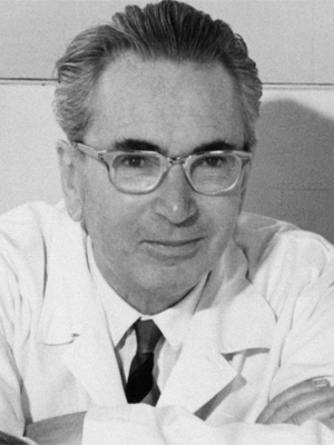 Frases de Viktor Frankl