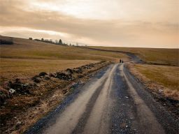 frases de camino frases de camino