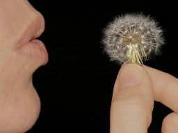 Frases de Deseos Frases de Deseos