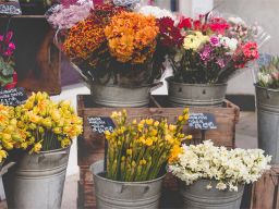 Frases de flores Frases de flores