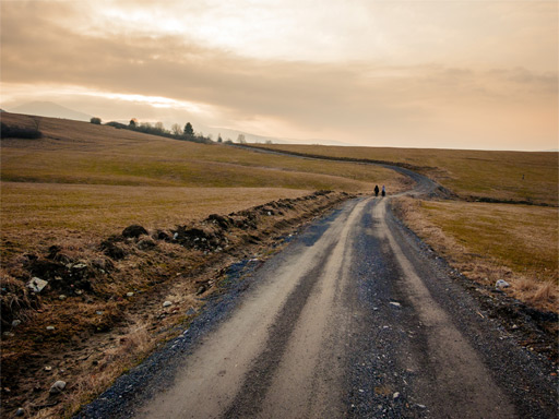 frases de camino frases de camino