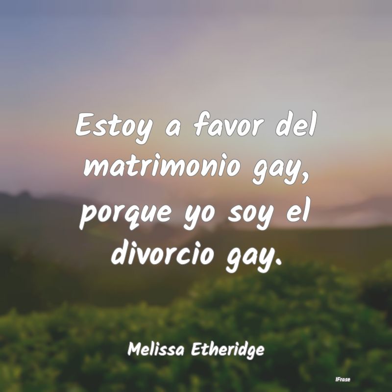 Estoy a favor del matrimonio gay, porque yo soy el...