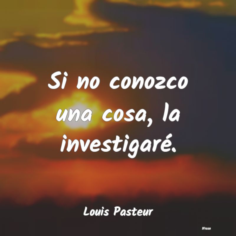 Si no conozco una cosa, la investigaré....