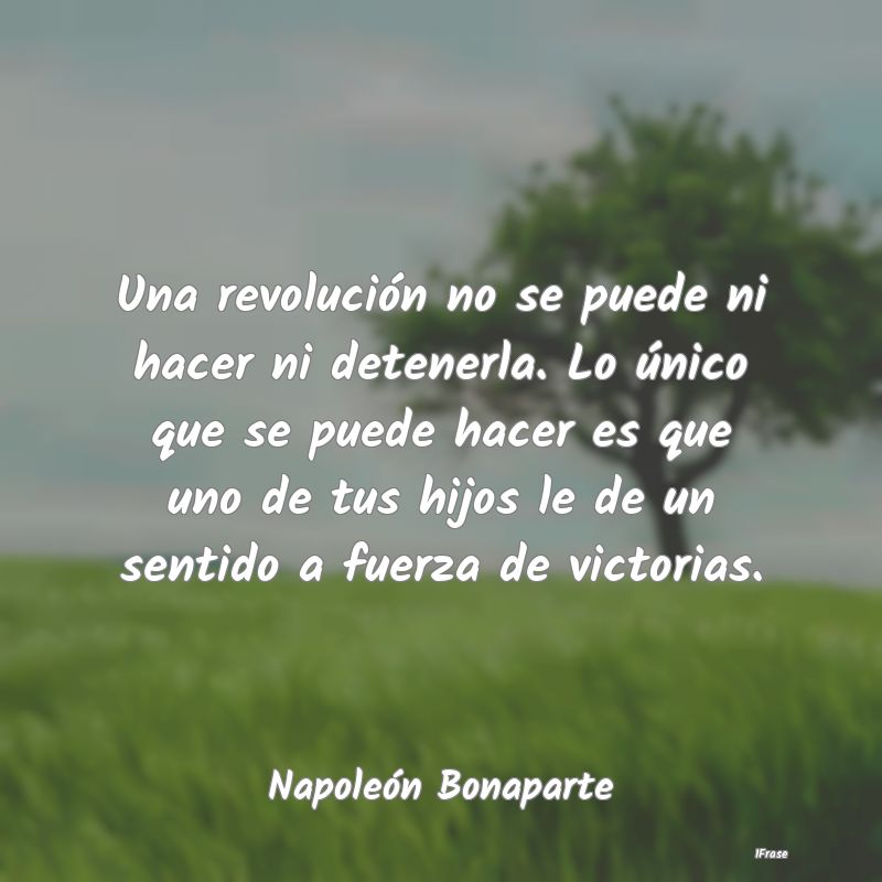 Una revolución no se puede ni hacer ni detenerla....