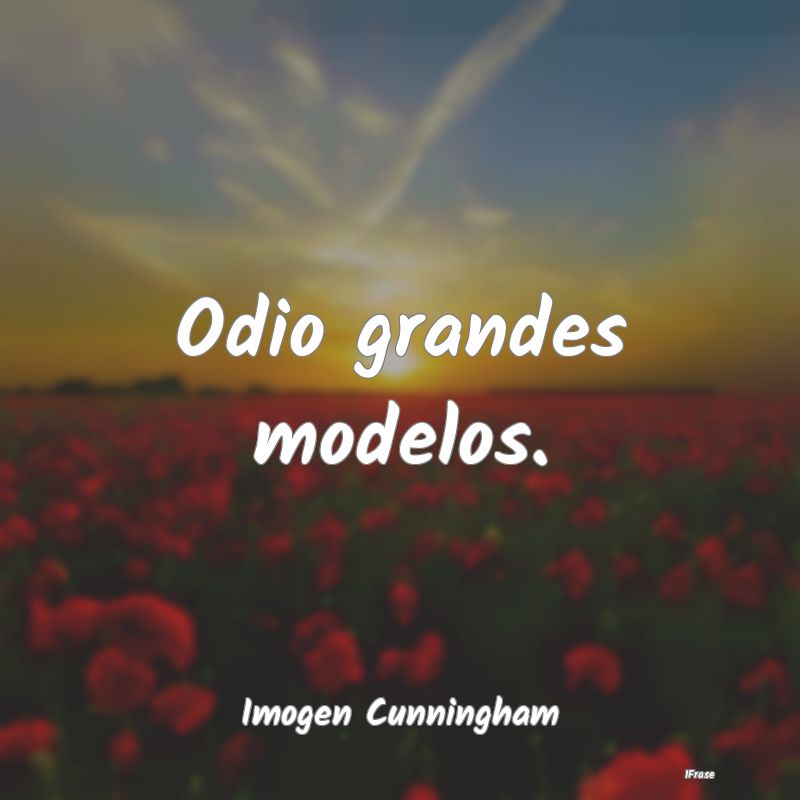 Odio grandes modelos....