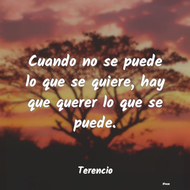 Cuando no se puede lo que se quiere, hay que quere...