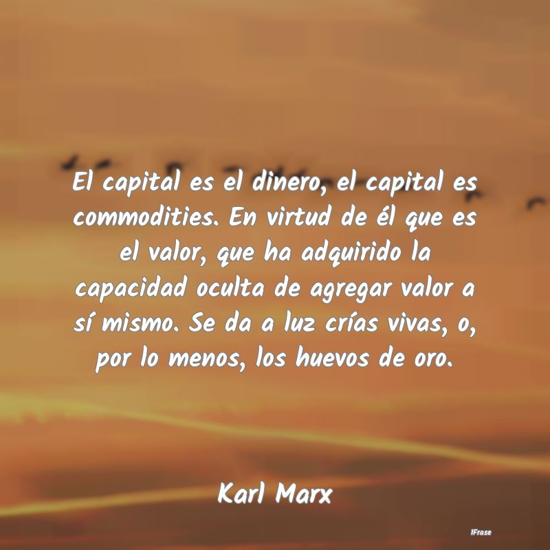 El capital es el dinero, el capital es commodities...