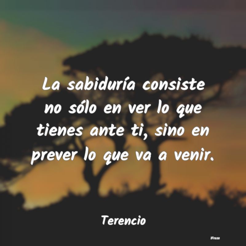 La sabiduría consiste no sólo en ver lo que tien... La sabiduría consiste no sólo en ver lo que tien...