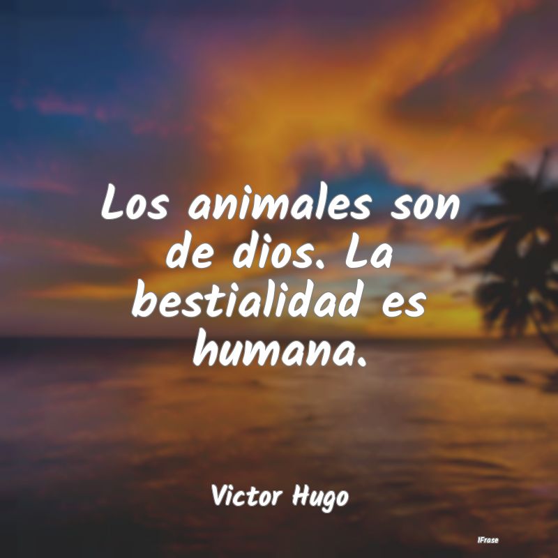 Los animales son de dios. La bestialidad es humana...