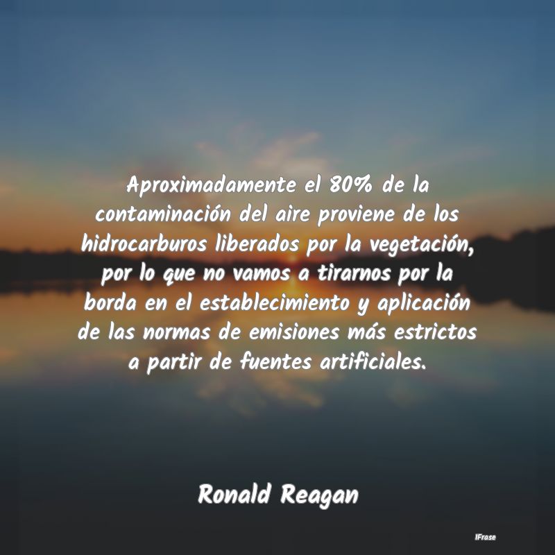 Aproximadamente el 80% de la contaminación del ai...