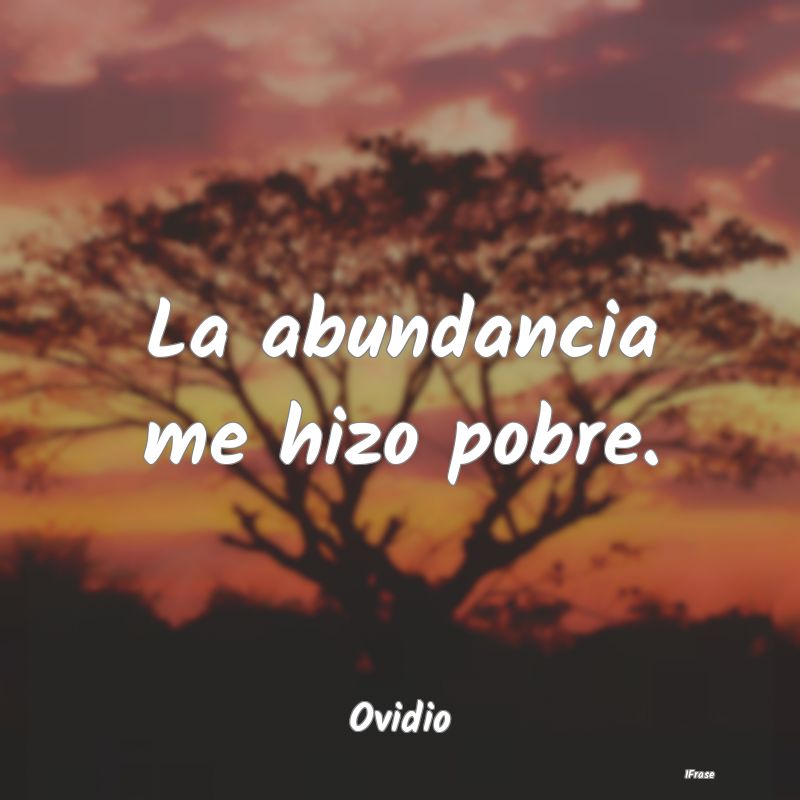 La abundancia me hizo pobre....