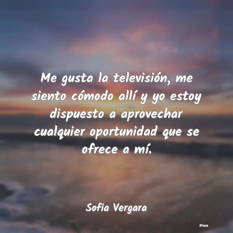 Me gusta la televisión, me siento cómodo allí y...