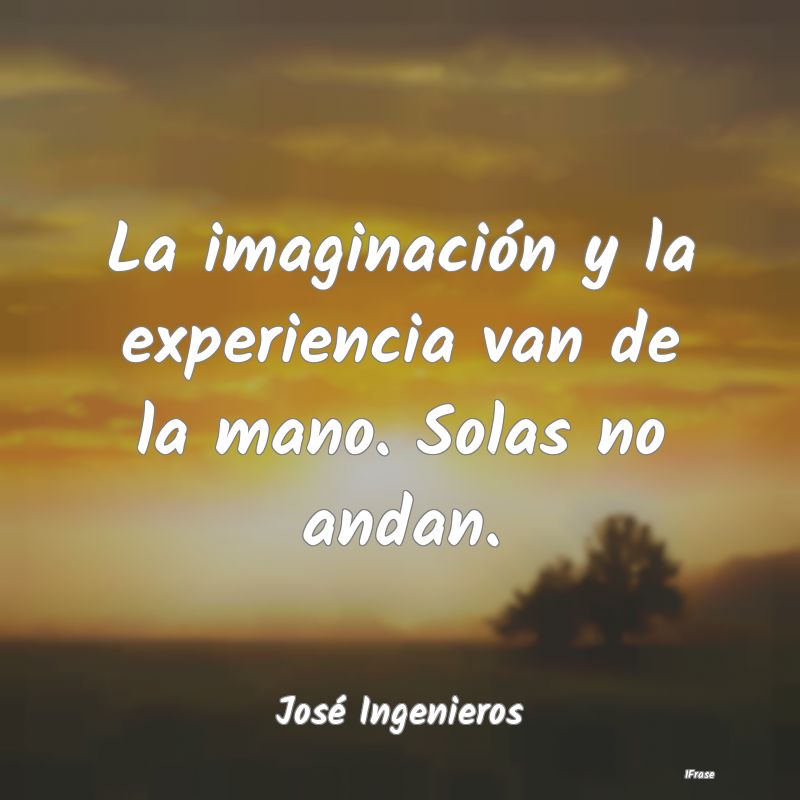 La imaginación y la experiencia van de la mano. S...